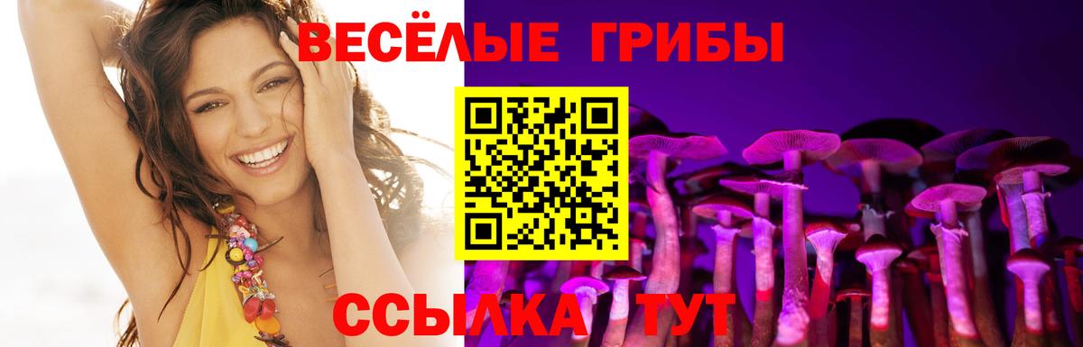 Псилоцибиновые грибы Psilocybe Новокубанск